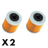 2 Pack K&N Oil Filter for Gas Gas SM700 2024 (KN651)