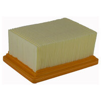 Champion Air Filter 23-A66-04
