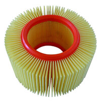 Champion Air Filter 23-A69-10