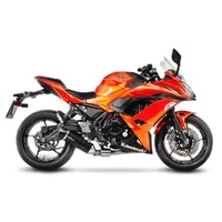 LeoVince Exhaust LV ONE EVO Carbon Fibre 14182EK