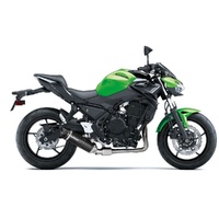 LeoVince Exhaust LV ONE EVO Carbon Fibre for Kawasaki Z 650 2020 (14182EK)