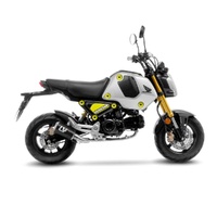 LeoVince Exhaust LV-10 Carbon Fibre for Honda MSX 125/GROM 2022-2024 (15252CU)