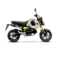 LeoVince Exhaust LV-10 Carbon Fibre 15253CU