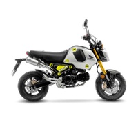 LeoVince Exhaust LV-10 15253U