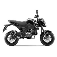 LeoVince Exhaust GP CORSA EVO for Kawasaki Z 125 PRO MINI NAKED 2017-2024