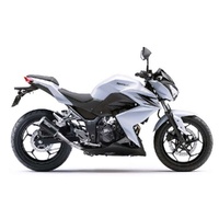 LeoVince Exhaust LV-10 Black Edition for Kawasaki Z 250 2015-2016