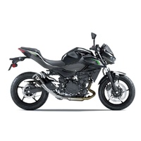 LeoVince Exhaust LV-10 Carbon Fibre for Kawasaki Z 500/SE 2024-2026