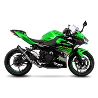 LeoVince Exhaust GP CORSA EVO 3389EU