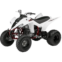 NewRay Model 1.12 Yamaha Raptor White