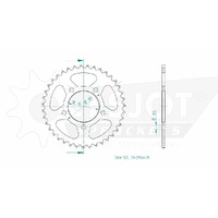 Esjot Rear Sprocket 39T for Benelli TNT 1130 Sport Evo 2008-2010