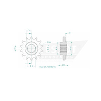 Esjot Front Sprocket 14T for Indian FTR 1200 Rally 2019