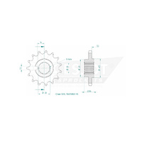 Esjot Front Sprocket 15T for Indian FTR 1200 Rally 2022