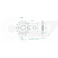 Esjot Front Sprocket 13T for Kawasaki KL 600  1984-1986