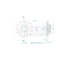 Esjot Front Sprocket 13T for Kawasaki Z 750 ABS  2007-2014