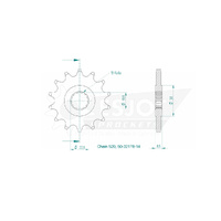 Esjot Front Sprocket 14T for Suzuki GW 250 F Inazuma 2015-2017