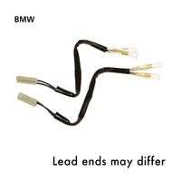 Oxford Indicator Leads BMW