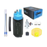 Quantum Fuel Pump/Regulator/Filter QFHFP384UR2