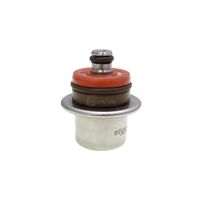 Quantum Fuel Pressure Reg 43psi/300kPa for Victory 1731 Jackpot Orange 2014