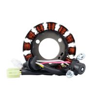 RM Stator for Yamaha TTR110 E 2008-2009