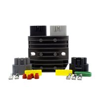 RM Regulator (RMS020106028)