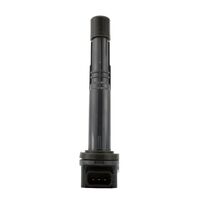 RM Ignition Coil (RMS06203)