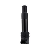RM Ignition Stick Coil for BMW R1200GS 2004-2013 (960)