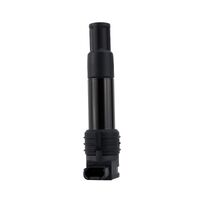 RM Ignition Stick Coil for BMW R1200R 2005-2014 (960)