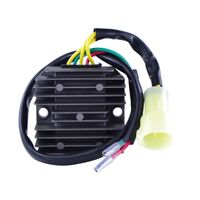 RM Regulator (RMS30116)