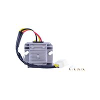 RM Regulator/Rectifier (RMS30Y17)