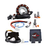 RM Stator Kit 140W (AC to DC) (RMS900106906)