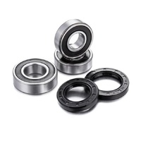 Factory Works Rear OEM Series Wheel Bearing Kit for CF Moto 400 NK 2018-2024