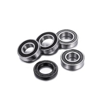 Factory Works Rear OEM Series Wheel Bearing Kit for KTM 790 ADVENTURE 2023-2024