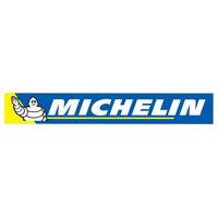 Factory FX Stickers Michelin Logo Dealer 5 Pack (06-90012)