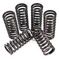 Barnett Clutch Spring for Kit for Kawasaki NINJA 300 2013-2017
