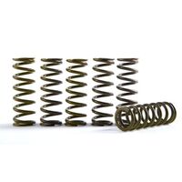 Hinson Hi-Temp Clutch Spring Kit - Set Of 6 for Honda CRF450X 2019-2022