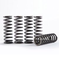 Hinson Hi-Temp Clutch Spring Kit - Set Of 5 for Honda CRF250R 2004-2009