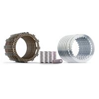 Hinson Complete Clutch Kit ( FSC494-8-001 )