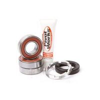 Pivot Works Rear Wheel Bearing PWRWK-H02-520