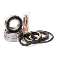 Pivot Works Rear Wheel Bearing PWRWK-H29-003