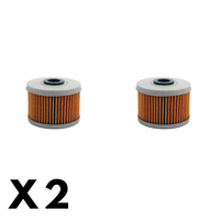 2 Pack Twin Air - Oil Filter for Honda CBF250 2006-2009
