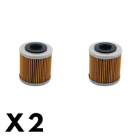 2 Pack Twin Air - Oil Filter for SWM SM 650 R 2016-2019