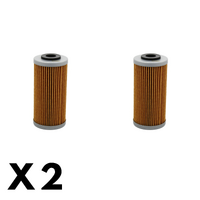 2 Pack Twin Air - Oil Filter for BMW G450 X 2009-2010