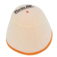Twin Air Air Filter TA152012