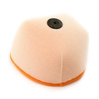 Twin Air Air Filter TA153220