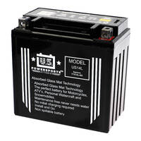 USPS AGM Battery for Harley Davidson XL 1200R Sportster Roadster 2006-2007