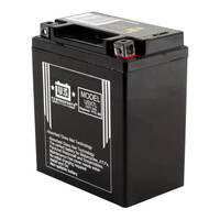 USPS AGM Battery for TM EN 250F 2004-2012