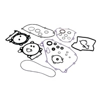 Vertex Complete Gasket Kit W/Oil Seals 8110027