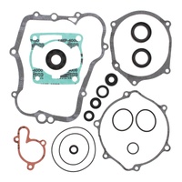 Vertex Complete Gasket Kit W/Oil Seals 811614