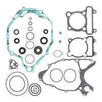 Vertex Complete Gasket Kit W/Oil Seals 811642