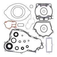 Vertex Complete Gasket Kit W/Oil Seals 811669